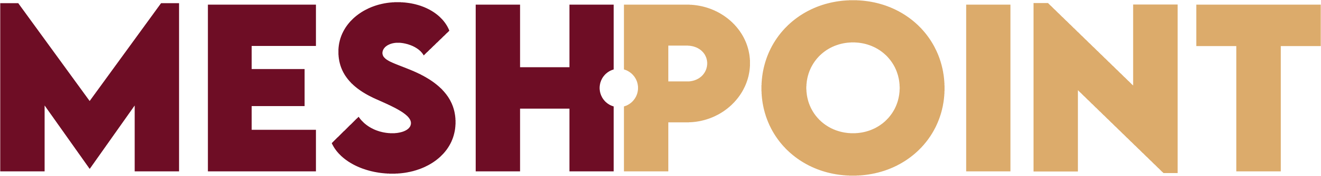 Mesh Point